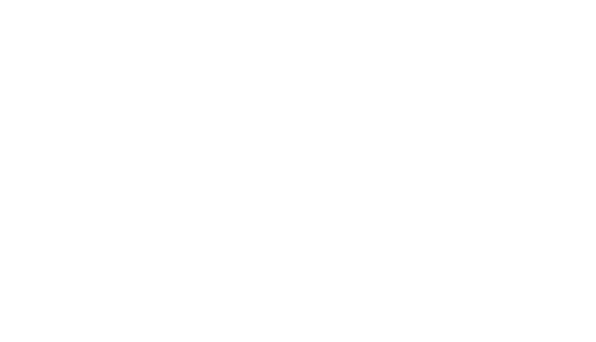 logo-morisset-construction-bois-blanc
